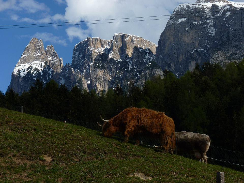 Gasthof Albergo Kreuzwirt Fiè Buitenkant foto